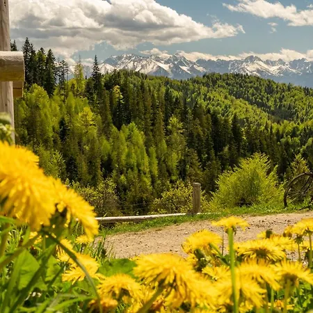 Apartment Gorna Mountains